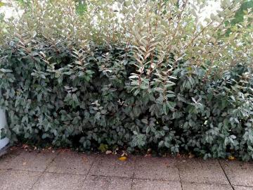 L'Heure, Somme Picardie, Picardie - Terrasse