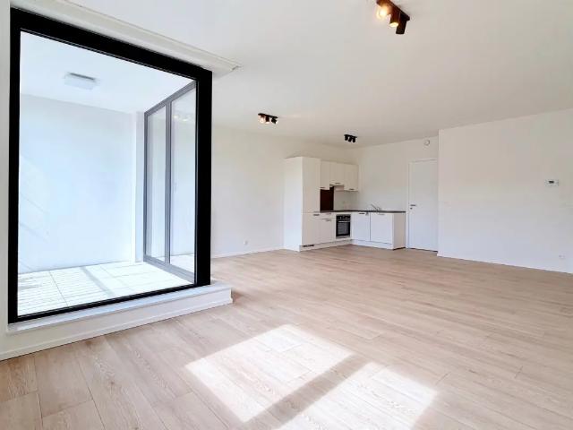 Appartement à louer à Rue Julie Dessy 8 Dave
