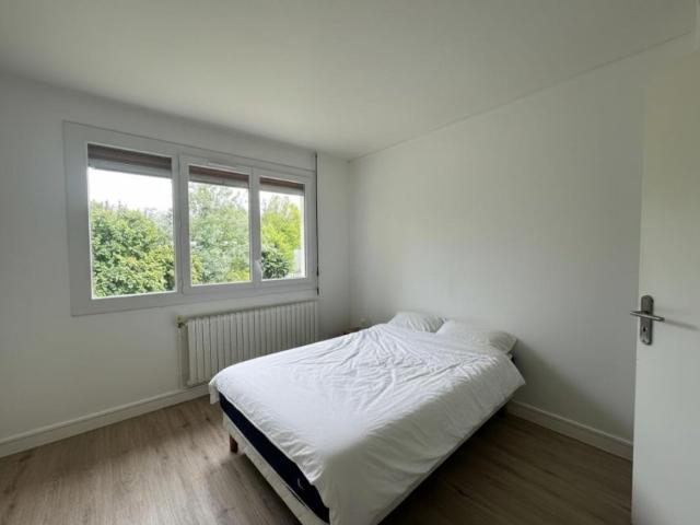 ▷ Appartement à louer • Angers • 12 m² • 450 € | immoRegion