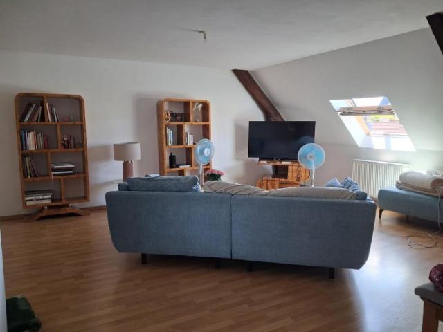 ▷ Appartement à louer • Bitche • 102 m² • 790 € | immoRegion