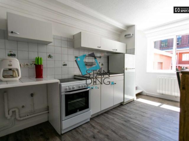 ▷ Appartement à louer • Lille • 27 m² • 850 € | immoRegion