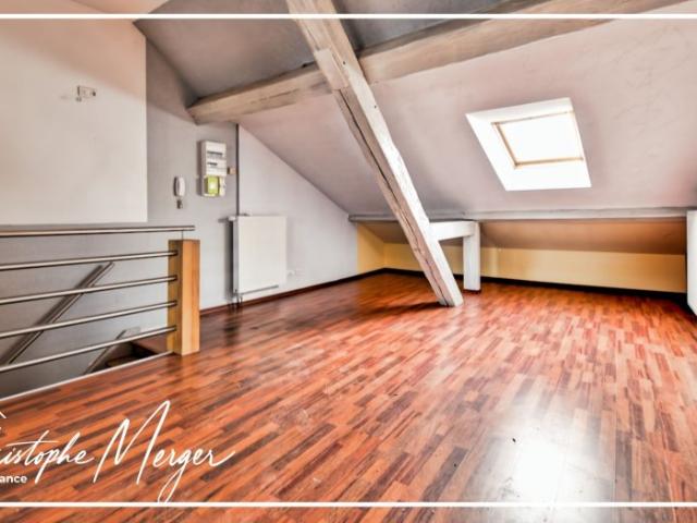 ▷ Appartement à louer • Sarrebourg • 49 m² • 495 € | immoRegion