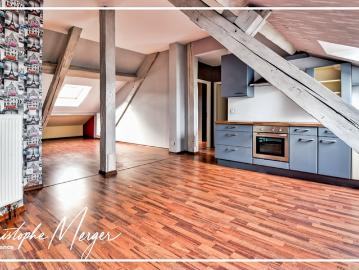 ▷ Appartement à louer • Sarrebourg • 49 m² • 550 € | immoRegion