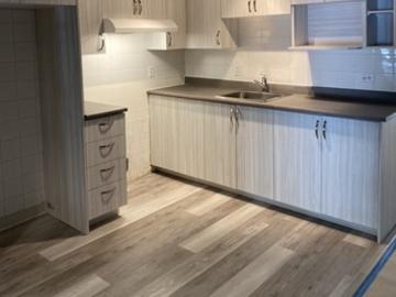 Mercier-hochelaga-maisonneuve, Montreal
