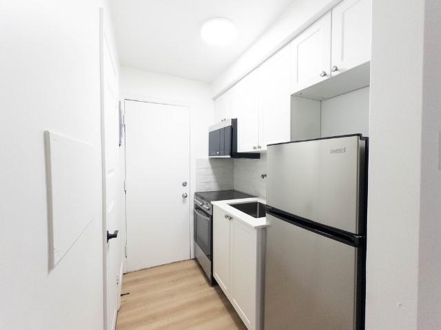 Appartement à Louer 1675 Rue Rachel E, Le Plateau Mont Royal Montréal 8 photos | Logis Québec