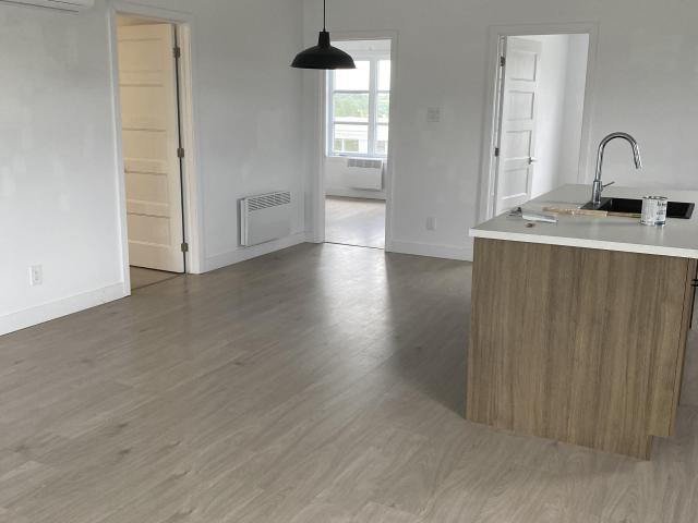 Appartement à Louer 176 Chemin Salois, Saint François Xavier de Brompton 4 photos | Logis Québec