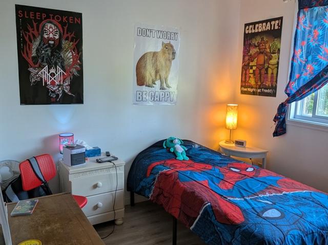Appartement à Louer 111 Rue Major, Sainte Agathe des Monts 20 photos | Logis Québec