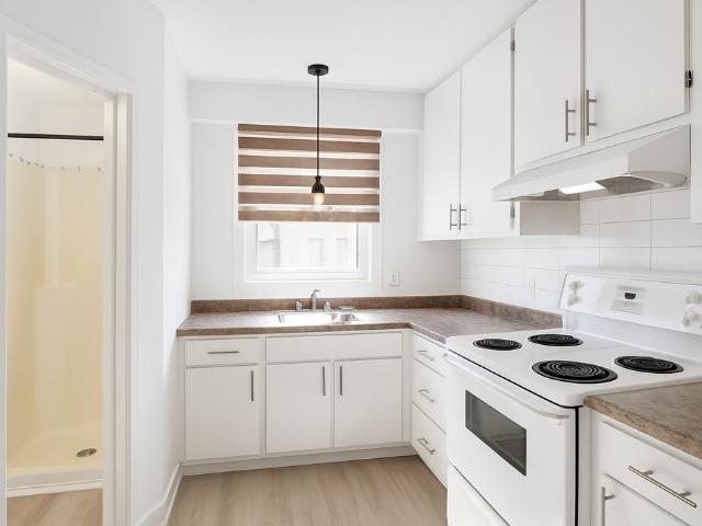 Appartement à Louer 119 Rue des Peupliers E, Québec, QC G1L 1S3, La Cité Limoilou Québec 9 photos | Logis Québec