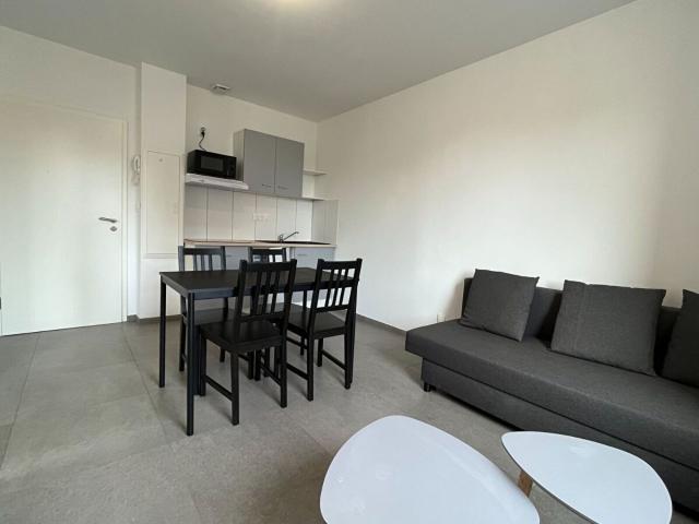 Appartement à louer 1 pièce 30,62 m
