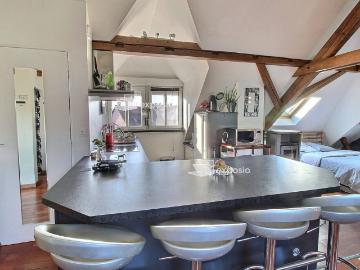 Appartement à louer 1 pièce