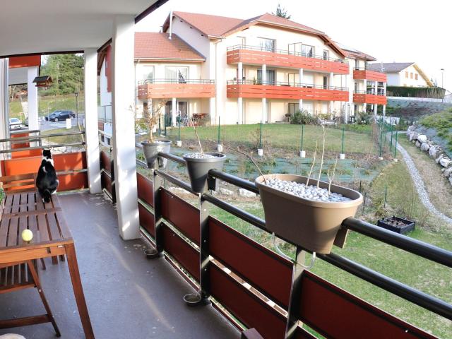 Appartement à louer 1 pièce