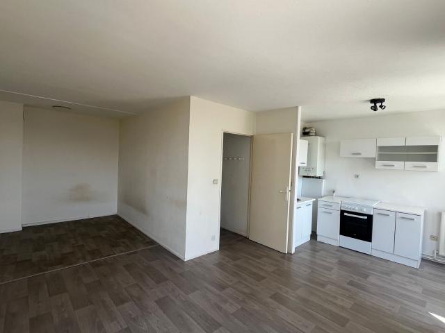 Appartement à louer 1 pièce
