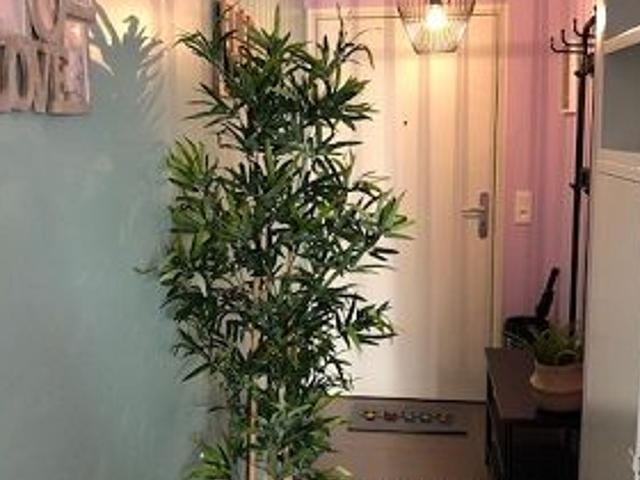 Appartement à louer 1 pièce