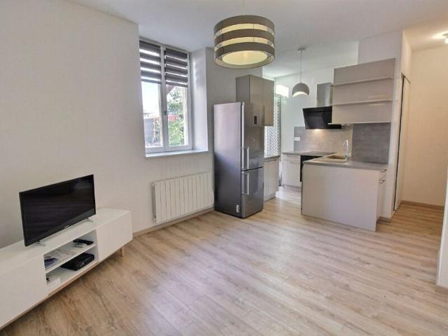 Appartement à louer 1 pièce • Colmar
