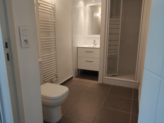 Appartement à louer, 1 pièce Grenoble 38100