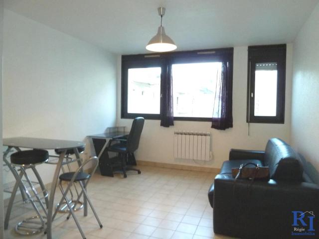 Appartement à louer, 1 pièce Grenoble 38100