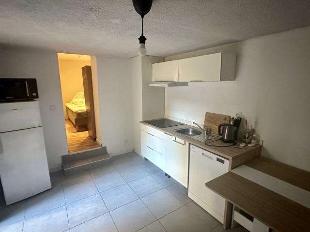 Appartement à louer, 1 pièce Grenoble 38100