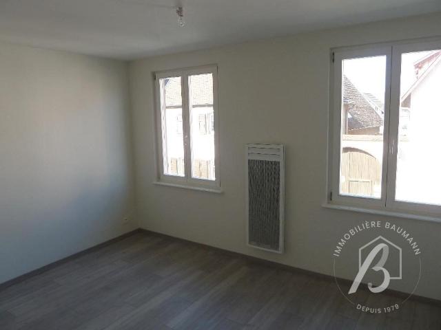 Appartement à louer, 1 pièce DORLISHEIM 67120