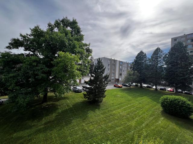 Appartement à louer, 1 pièce Saint Martin d'Hères 38400