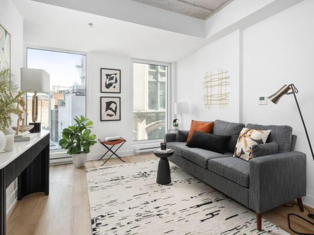 Appartement à Louer 240 Rue Notre Dame Ouest, Montréal 30 photos | Logis Québec