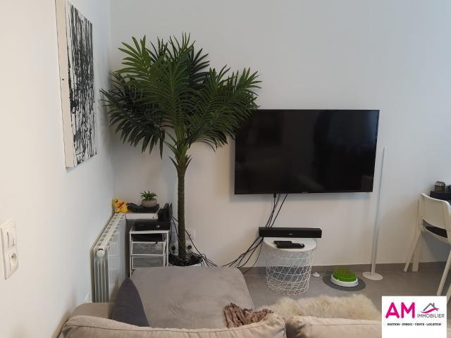 Appartement à louer, 2 pièces Colmar 68000