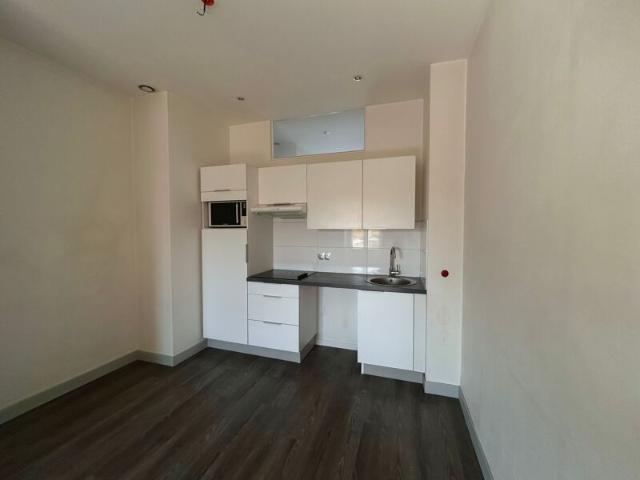 Appartement à louer 2 pièces • 47,94 m2 Lyon 3