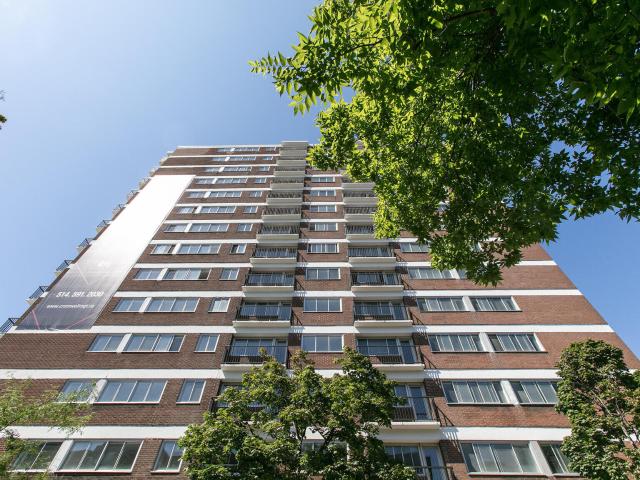 Appartement à Louer 3605 Rue Saint Urbain, Montréal 22 photos | Logis Québec