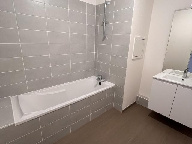 Appartement à louer, 3 pièces Strasbourg 67000