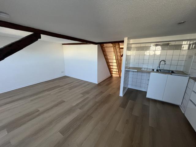 Appartement à louer, 3 pièces Strasbourg 67000