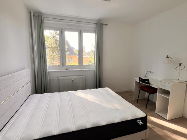 Appartement à louer, 3 pièces Strasbourg 67100