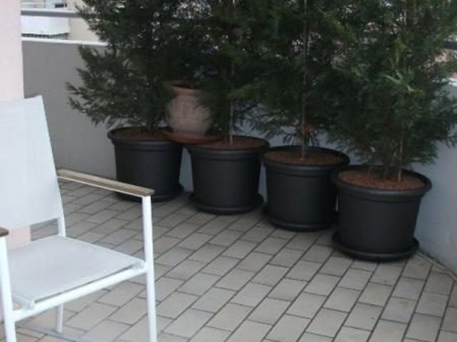 Appartement à louer, 3 pièces Talant 21240