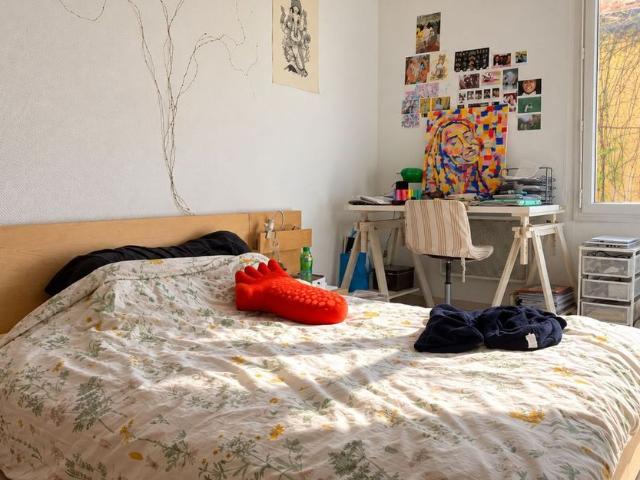 Appartement à louer 3 pièces • Toulouse