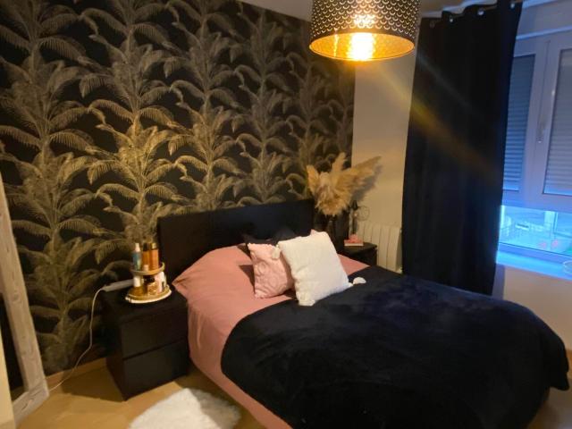 Appartement à louer 3 pièces