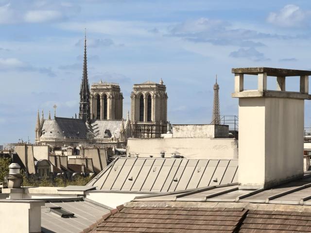 Appartement à louer 3 pièces 95,54 m² | Paris 75004 QUAI DES CÉLESTINS / SAINT PAUL | 4 900 € | Junot