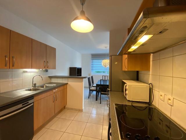 Appartement à louer 3P / Terrasse / Garage /Orangerie / STRASBOURG 67