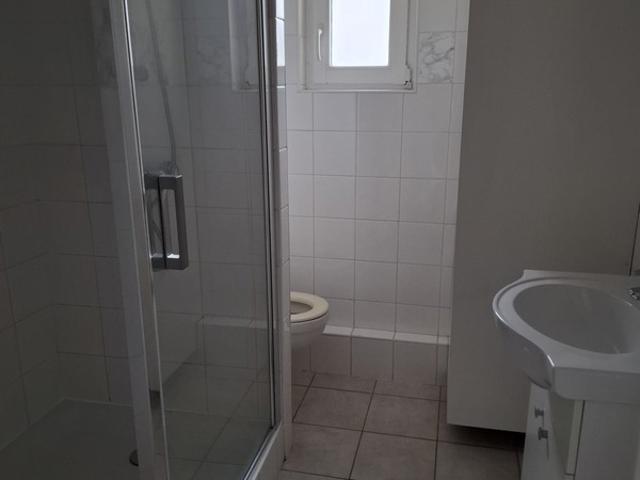 Appartement à louer 4 pièces ERSTEIN 67