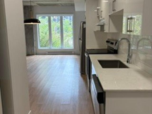 Appartement à Louer 5480 av Henri Julien, Le Plateau Mont Royal Montréal 16 photos | Logis Québec