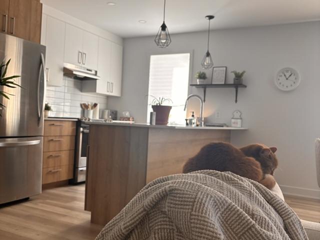 Appartement à Louer 520 principale, Saint Ambroise de Kildare 10 photos | Logis Québec
