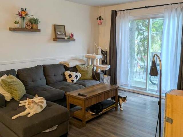 Appartement à Louer 700 13e Avenue N, Fleurimont Sherbrooke 7 photos | Logis Québec
