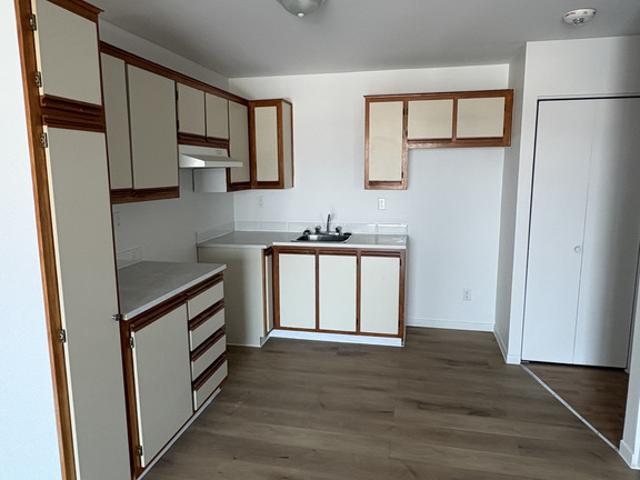 Appartement à Louer 800 Bd du Tricentenaire, Rivière des Prairies/Pointe aux Trembles Montréal 5 photos | Logis Québec