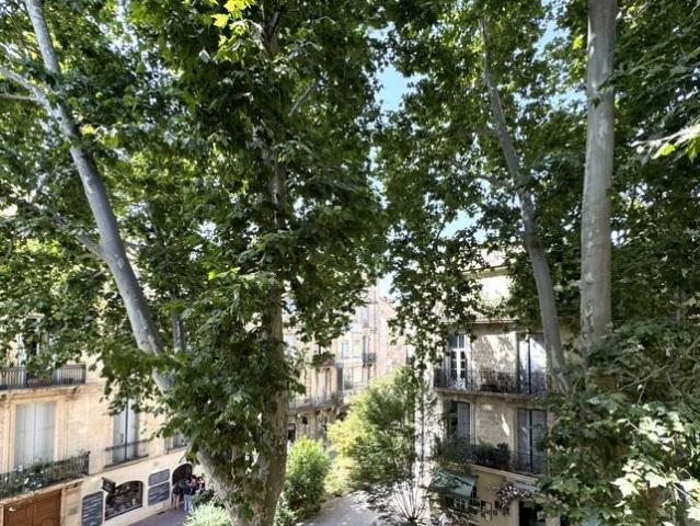 Appartement à vendre F4 110 m² Montpellier Centre Historique. 110m² Montpellier