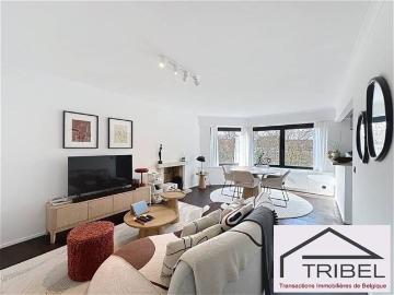 1200, Woluwe-Saint-Lambert, Bruxelles-Capitale