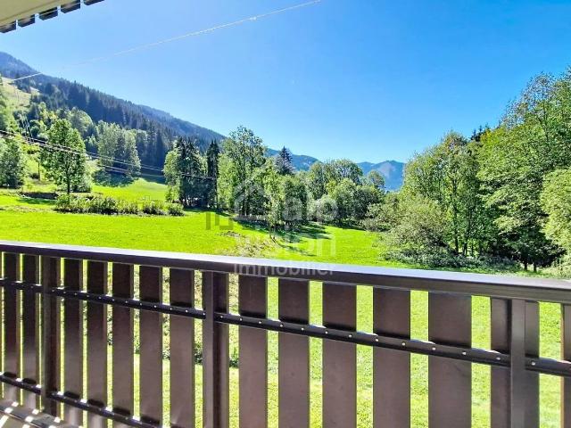 Appartement, Abondance
