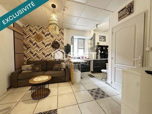 Appartement Adissan Languedoc 34230 DS101229969