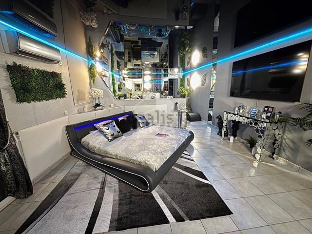 Appartement, Albi