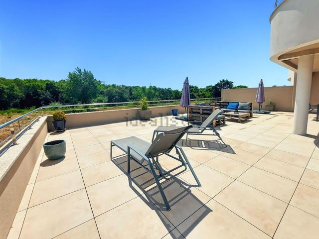 Appartement, Albitreccia