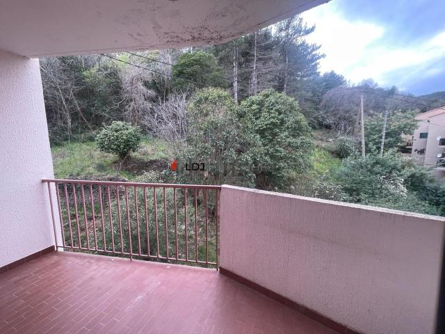 Appartement, Amélie les Bains Palalda