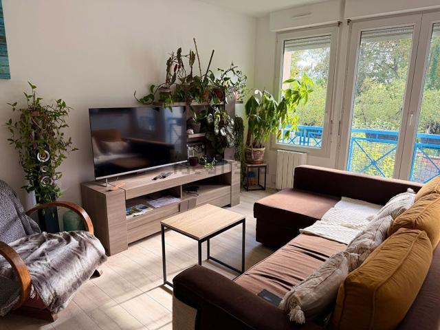 Appartement, Amiens