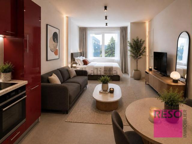 Appartement, Annemasse