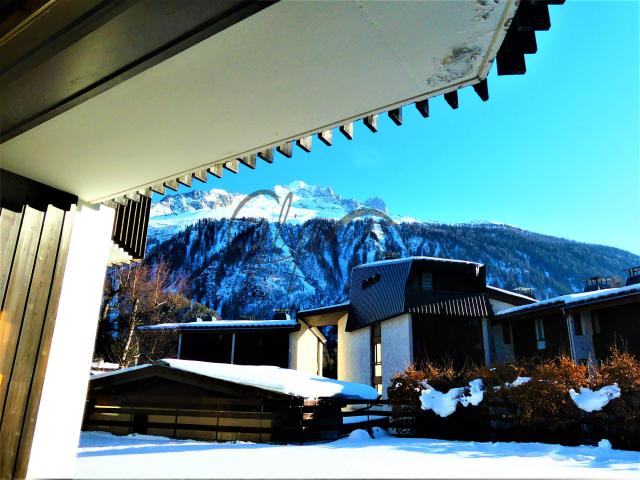 Appartement Argentière 74400 26 m²
